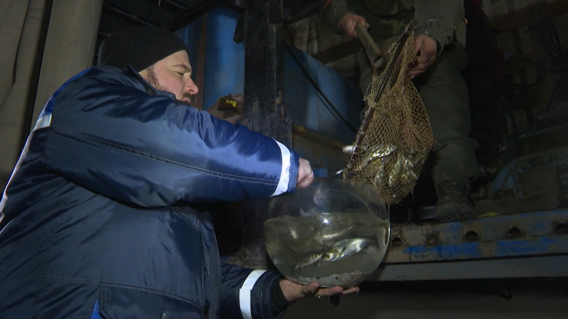 Как в Магнитогорске с помощью рыб чистят реку Урал 