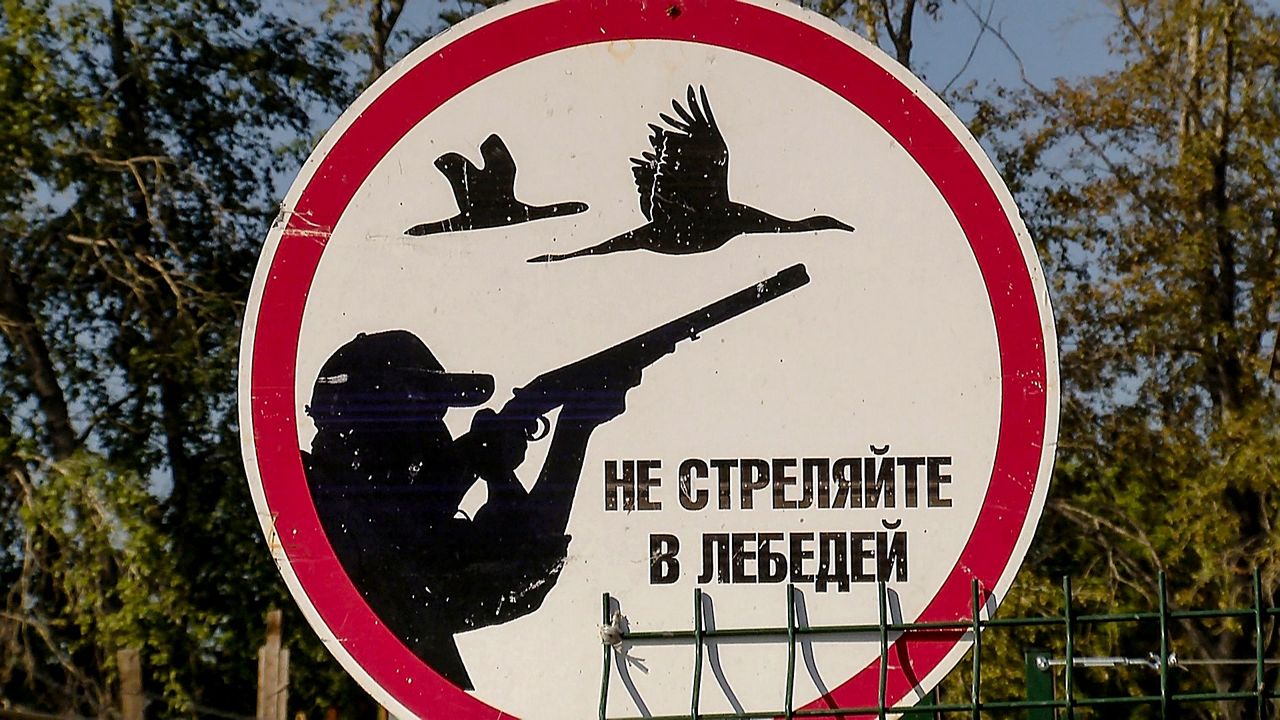 В Челябинской области могут ввести цифровые разрешения на охоту