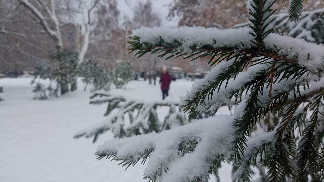 Когда в Челябинске ляжет снег – неожиданный прогноз от синоптиков 