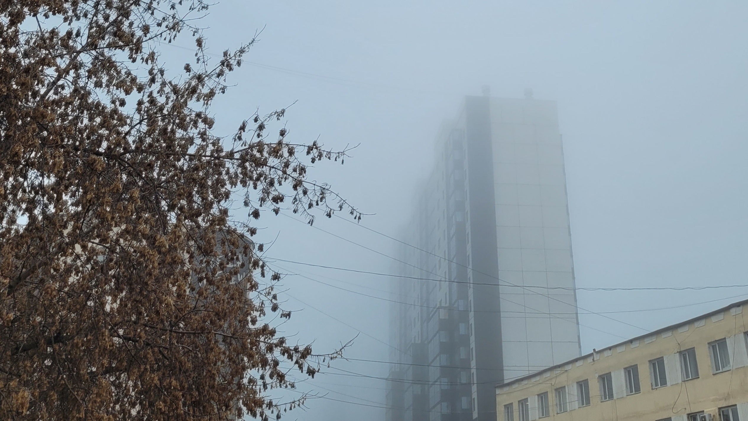 Специалисты назвали причину густого тумана, который накрыл Челябинскую область