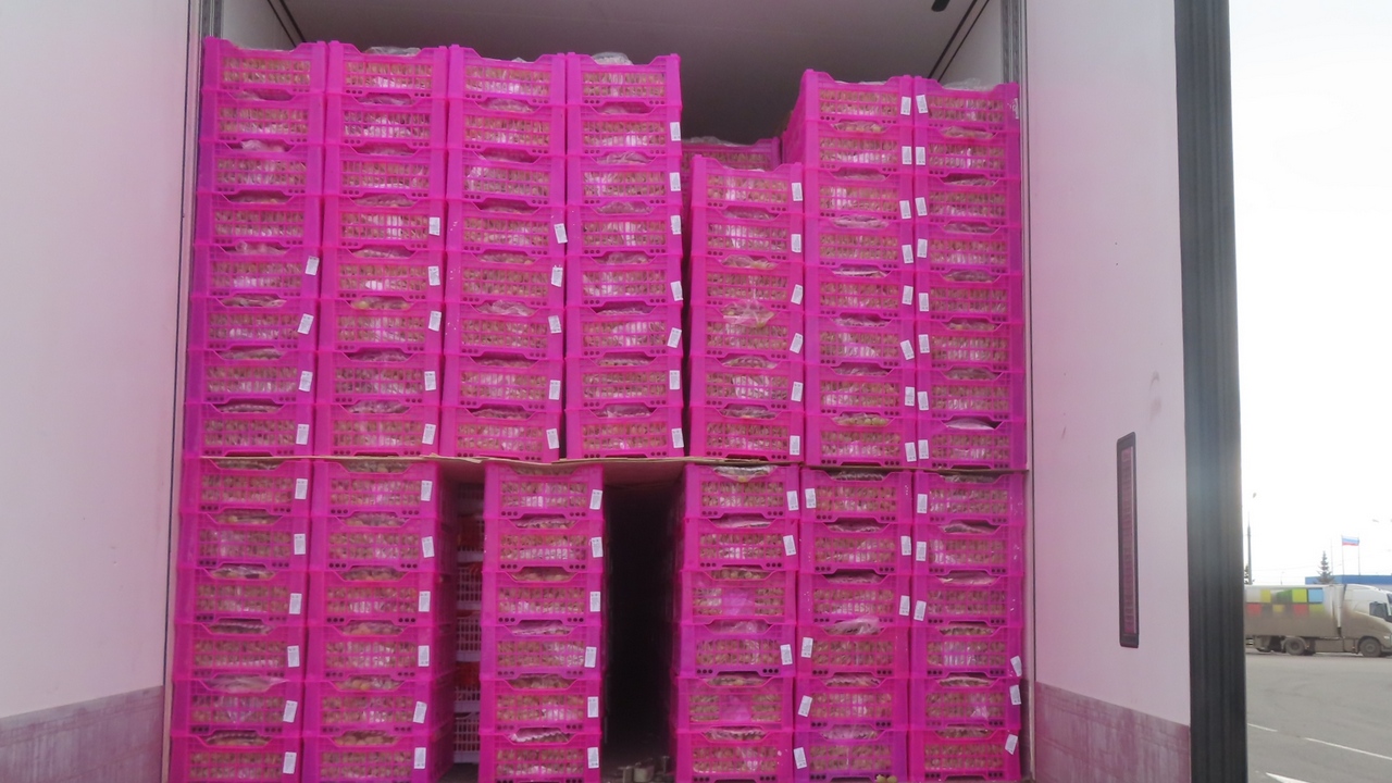 В Челябинск не пропустили 1,5 тонны винограда из Казахстана