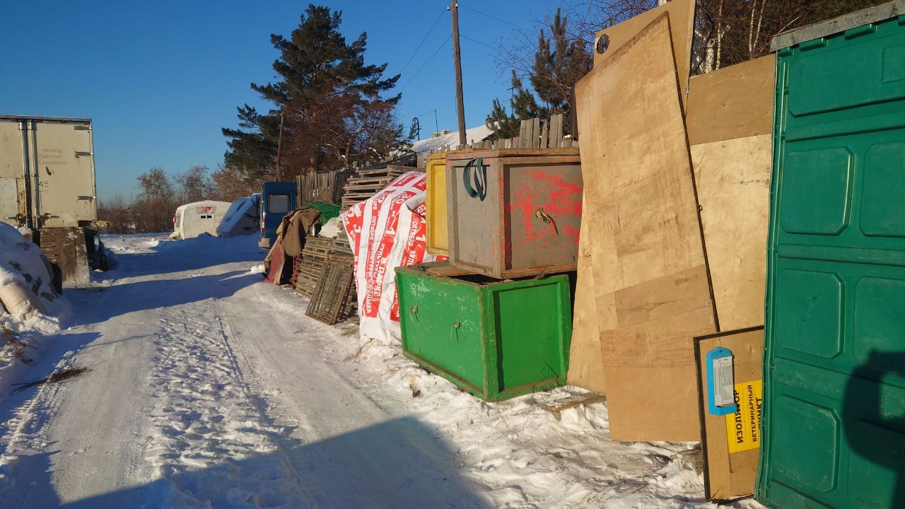 Под Копейском львы замерзают в передвижном зоопарке: на место выехали эксперты 