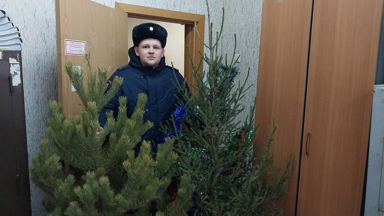 В Челябинской области двое мужчин украли новогодние елки из прицепа автомобиля