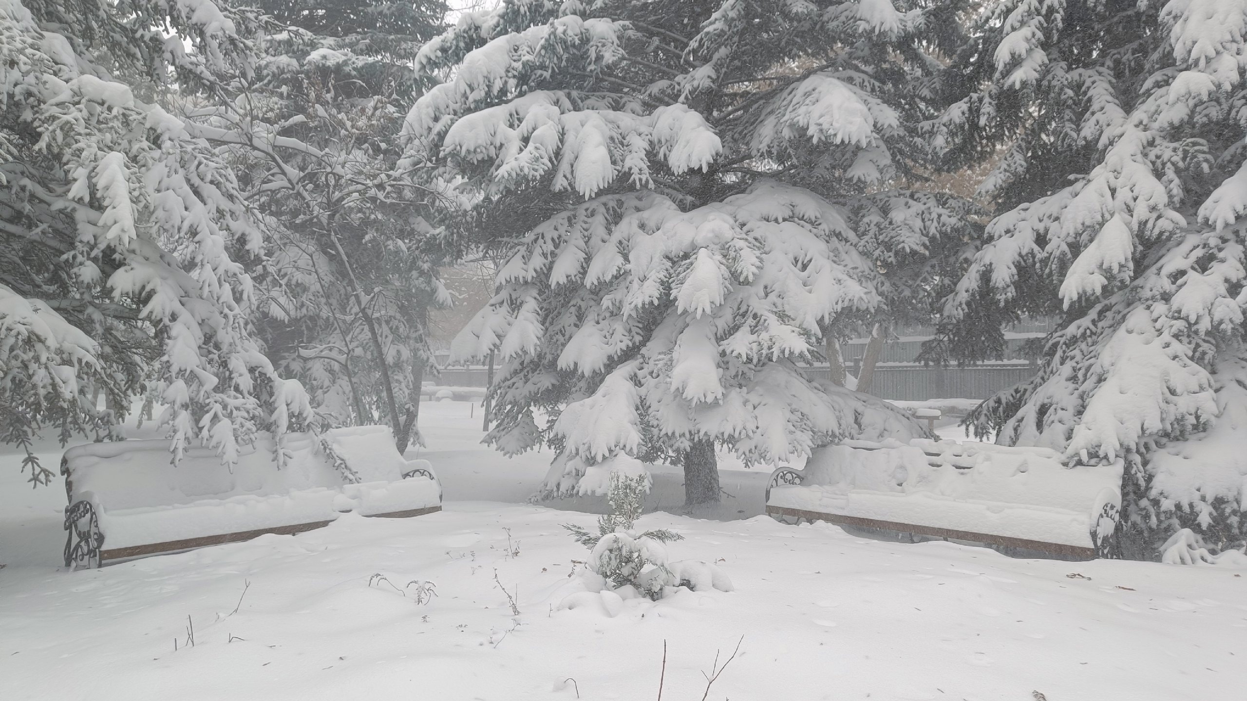 Всемирный день снега отметят в Челябинской области: рекорды и факты
