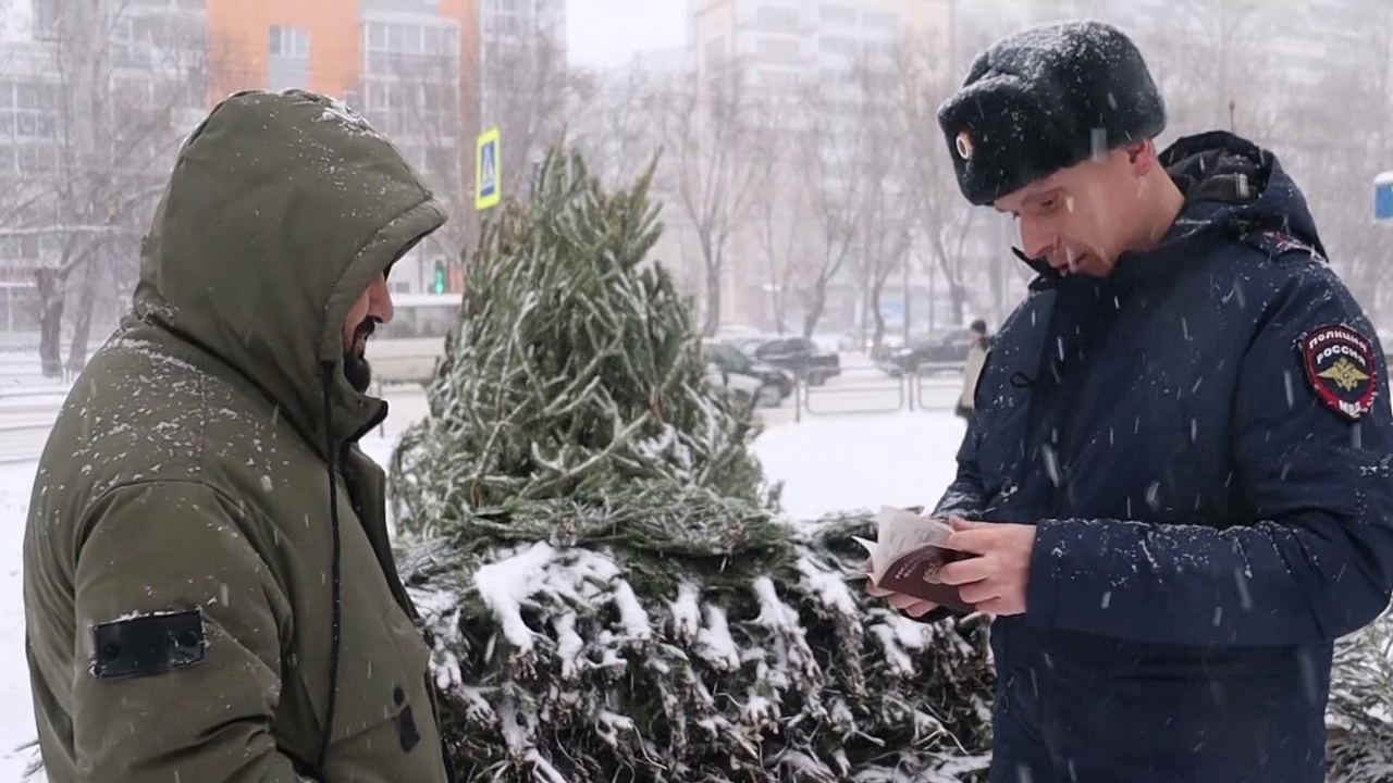 Десять мигрантов-нарушителей задержали на елочных базарах Челябинска