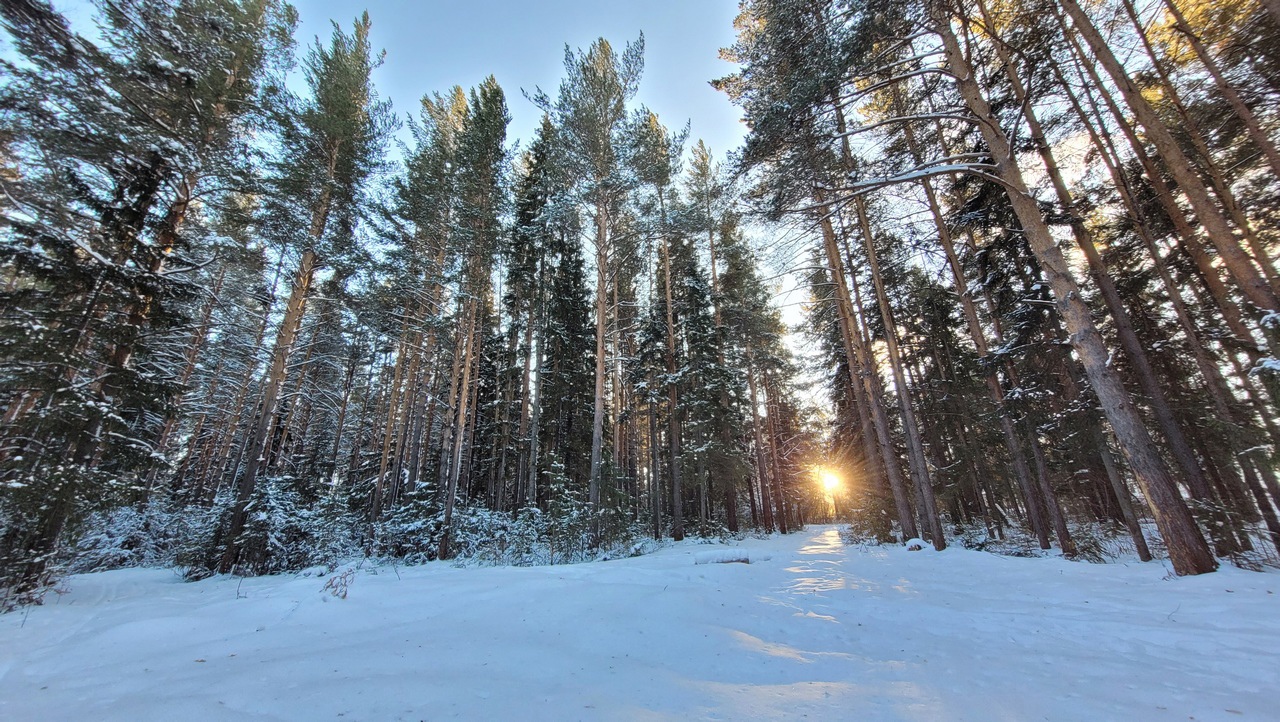 Как вести себя во время сильных морозов, объяснили спасатели из Челябинска