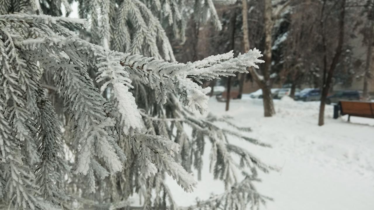 Отмена занятий в школах Челябинска: кто из-за мороза останется дома 12 декабря