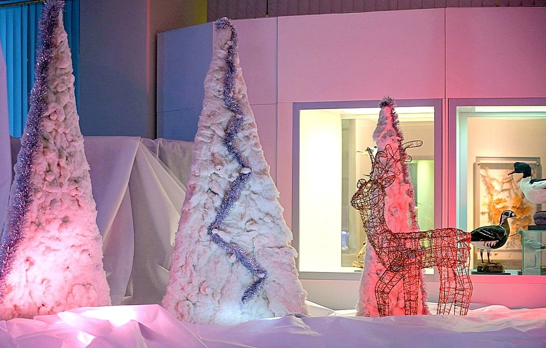 Культурные каникулы: Исторический музей Челябинска представил новогоднюю афишу