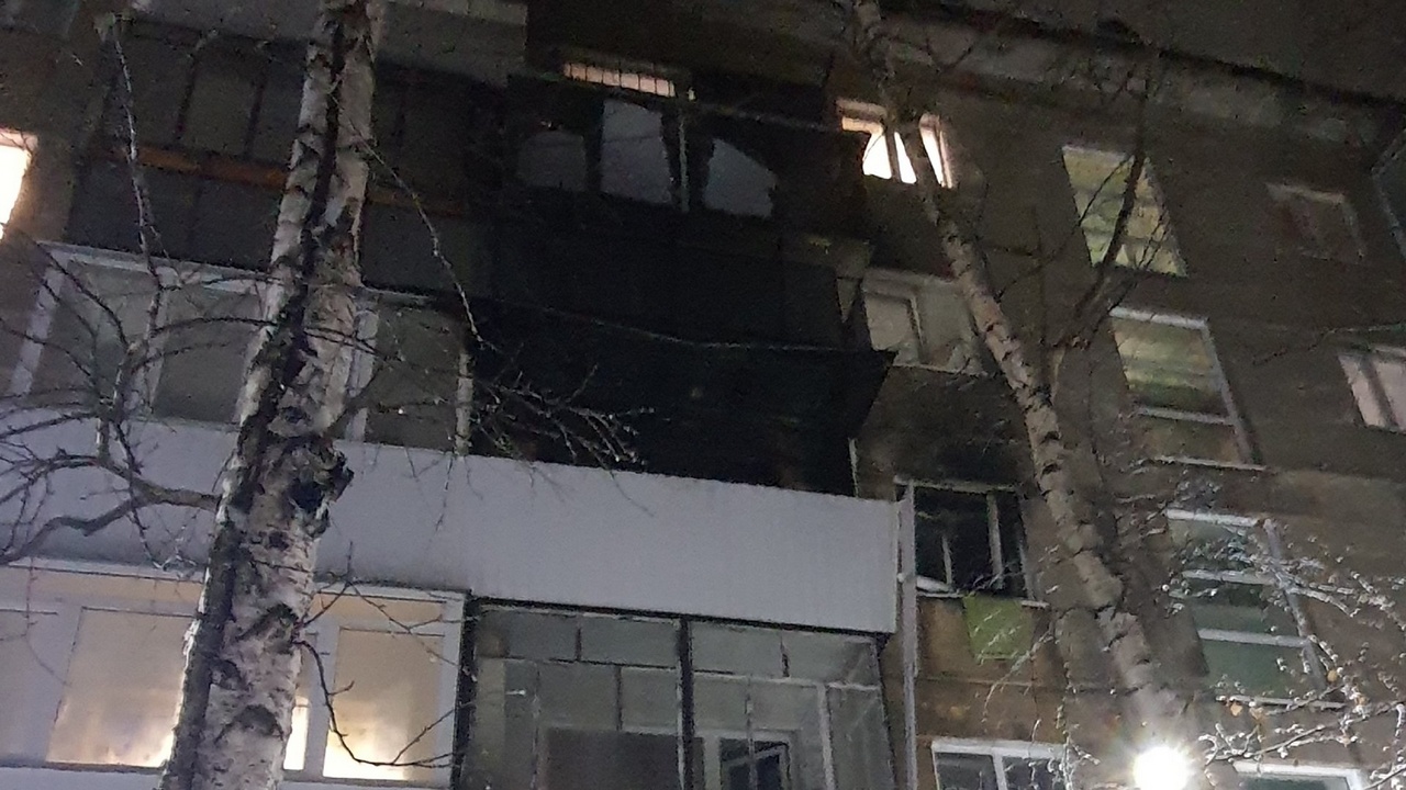 Жителю Челябинской области оторвало руку петардой Жителю Челябинской области оторвало руку петардой