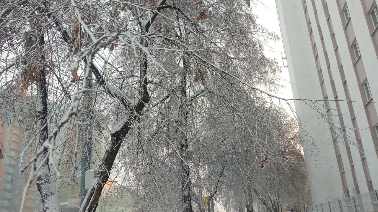До -40°C: как переживают трескучие морозы в Челябинской области До -40°C: как переживают трескучие морозы в Челябинской области