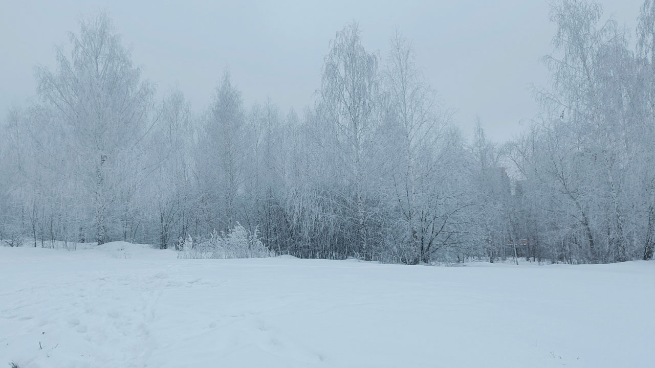 Туманы и похолодание до -27 °C ожидаются в Челябинской области