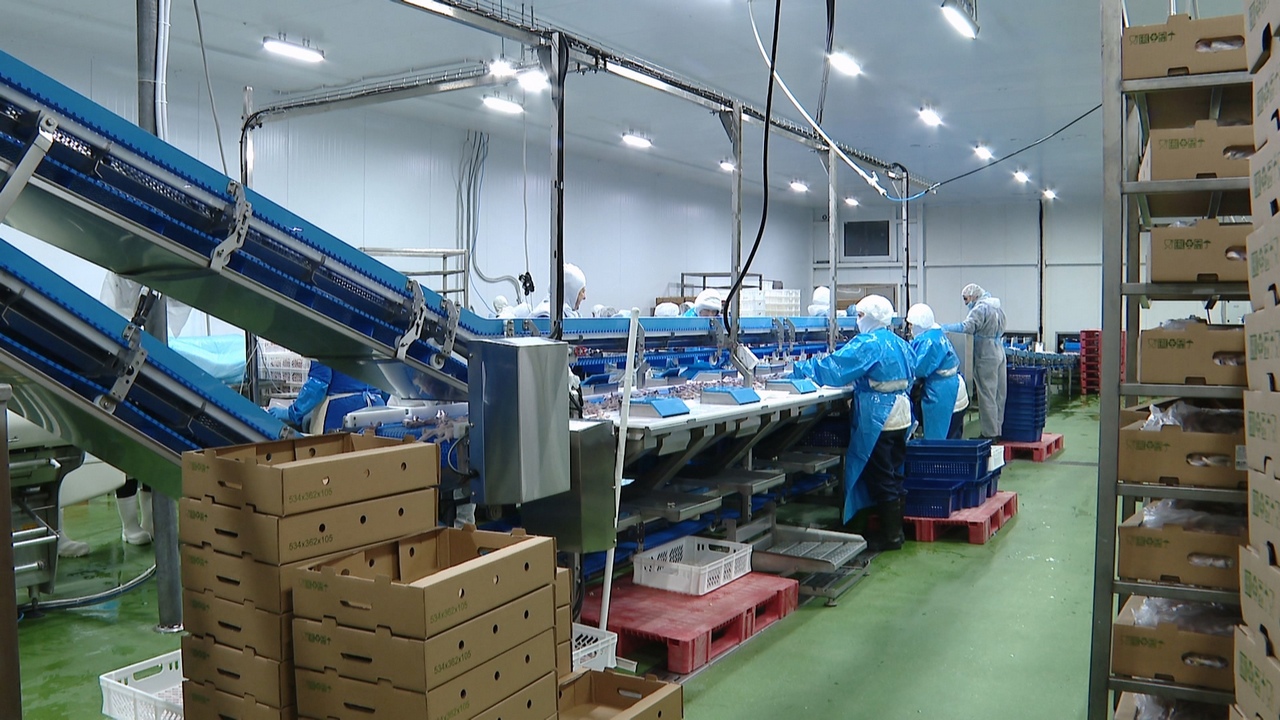 Крупнейшая птицефабрика Челябинской области расширяет производство