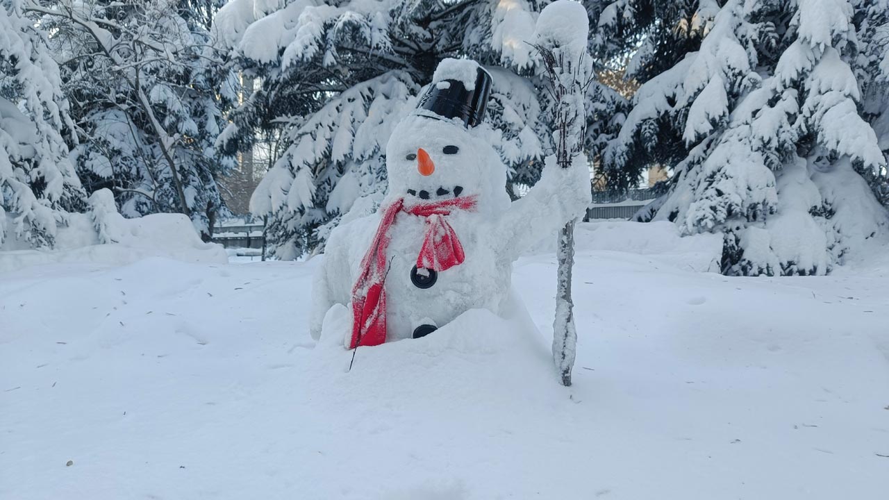 Снежный январь прогнозируют синоптики в Челябинской области