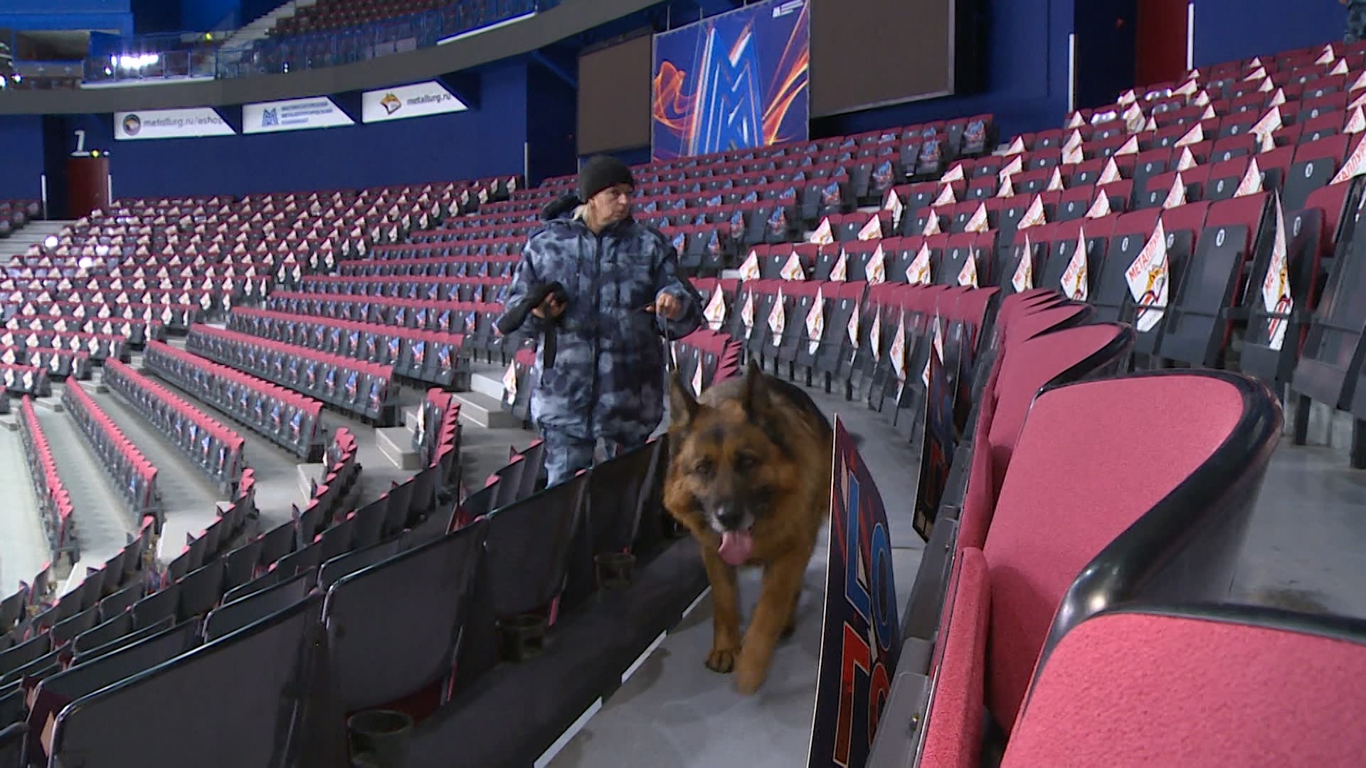 Собака-ОМОНовец отвечает за безопасность массовых мероприятий в Магнитогорске