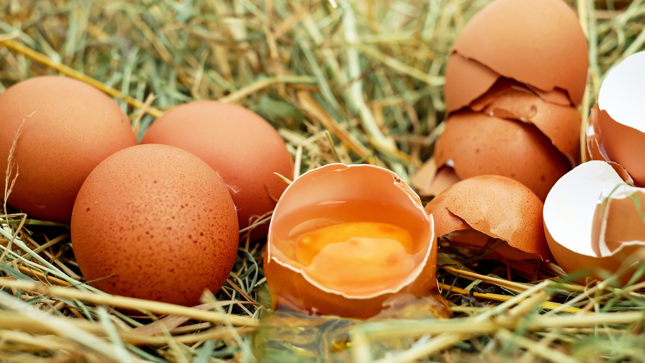 Челябинские ученые рассказали, стоит ли бояться появления "поддельных" яиц