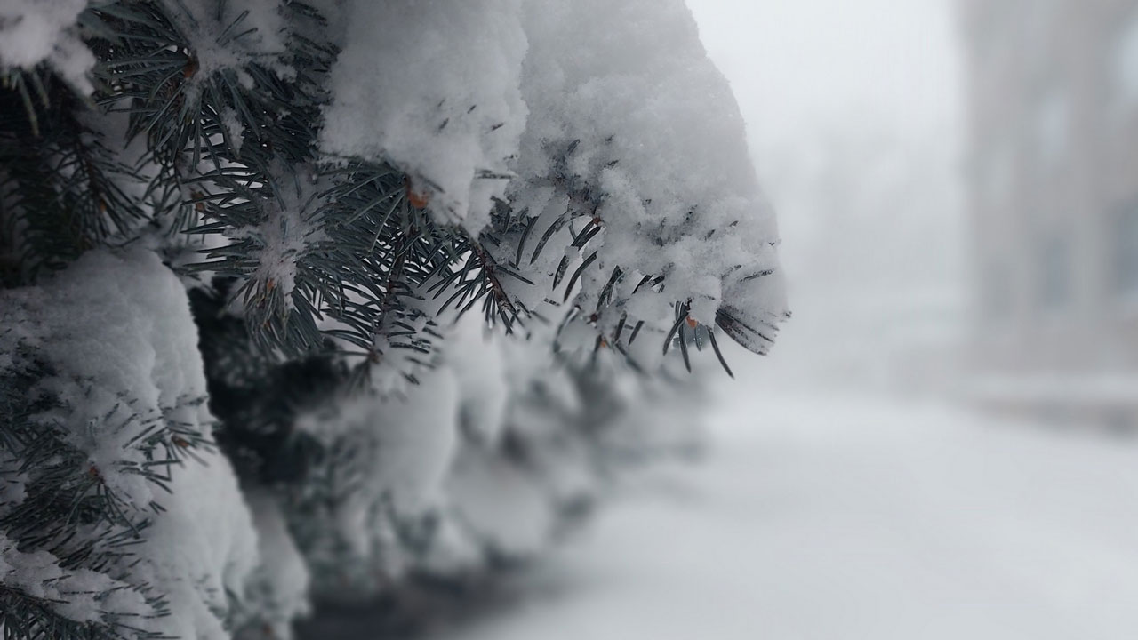 Потепление до -5°C и метели ожидаются в Челябинской области Потепление до -5°C и метели ожидаются в Челябинской области