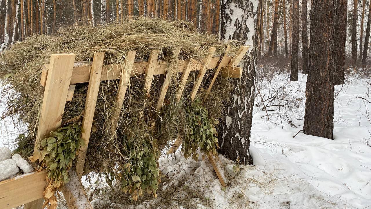 В Челябинской области будут подкармливать диких животных