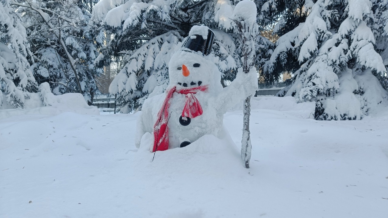 Жителей Челябинска пригласили слепить снеговиков и установить рекорд России