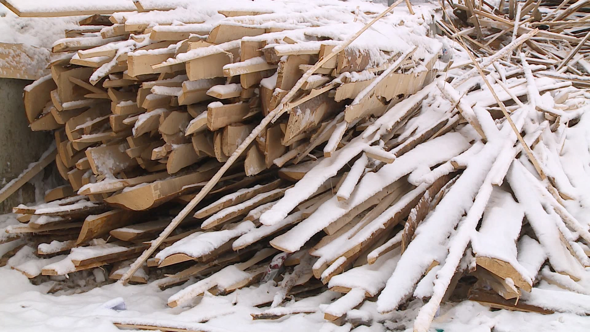 С пользой для экологии: в Магнитогорске показали, как перерабатывают новогодние ели