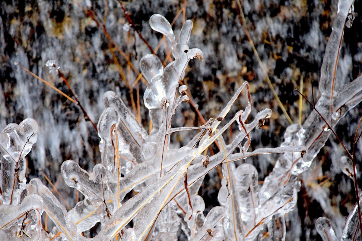 Зима не отступает: в Челябинской области вновь обещают 25-градусные морозы 