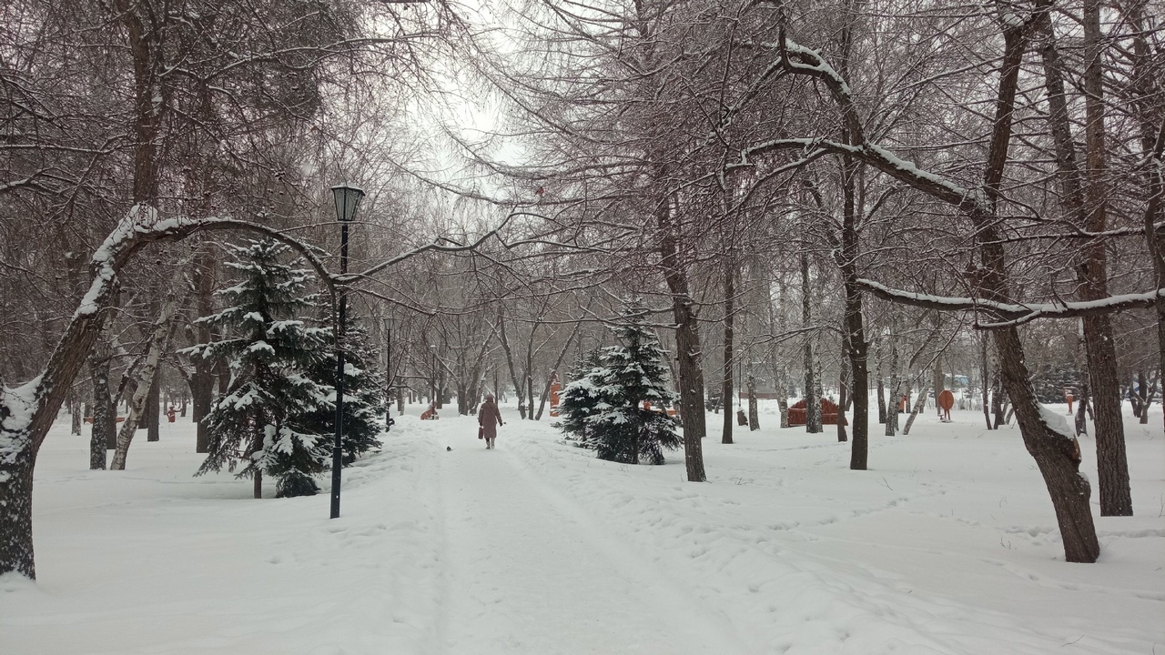 Снегопады и метели обрушатся на Челябинскую область  