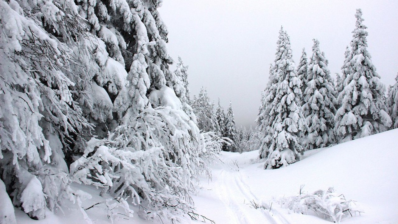 Самые глубокие за 16 лет сугробы образовались в горах Челябинской области