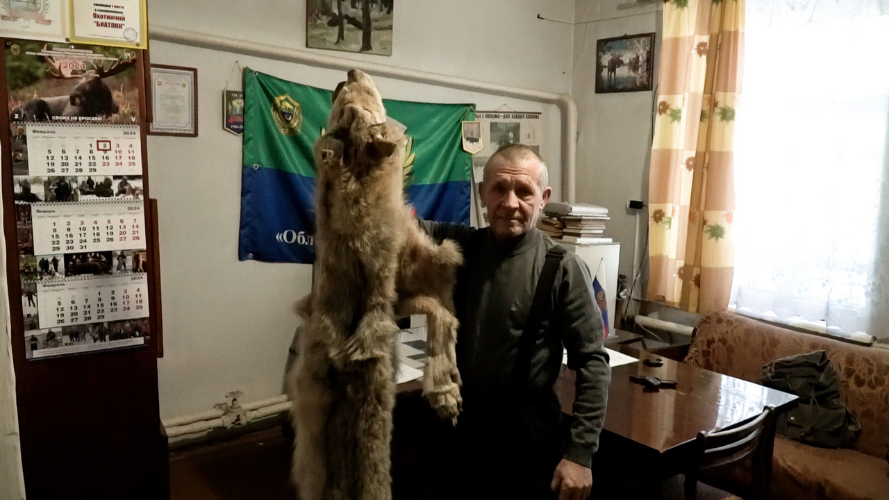 Стаи волков держат в страхе жителей Ашинского района