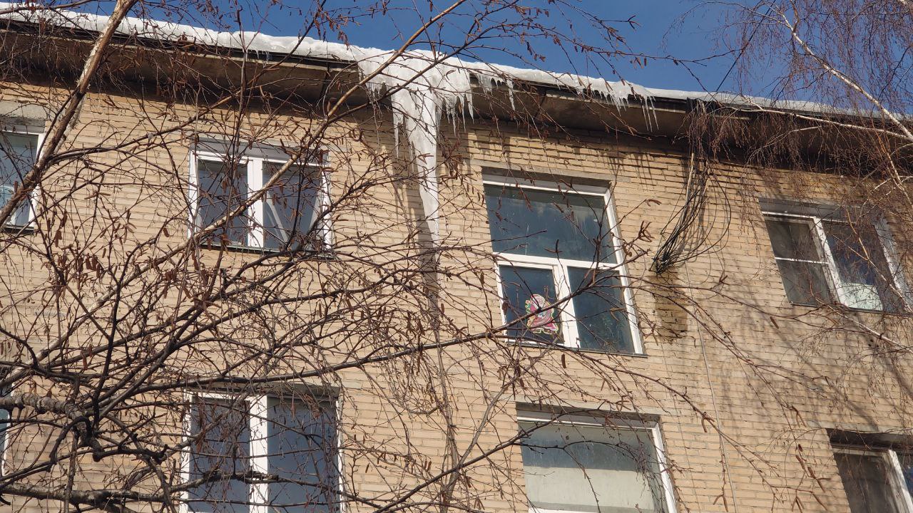 Плесень съела стены: коммунальное бедствие терпит дом в Челябинске Плесень съела стены: коммунальное бедствие терпит дом в Челябинске