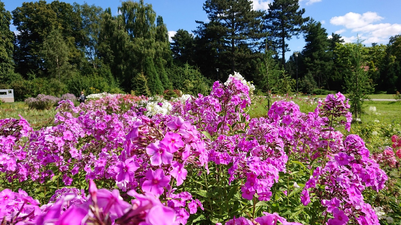 Росгидромет рассказал, каким будет лето в Челябинской области 