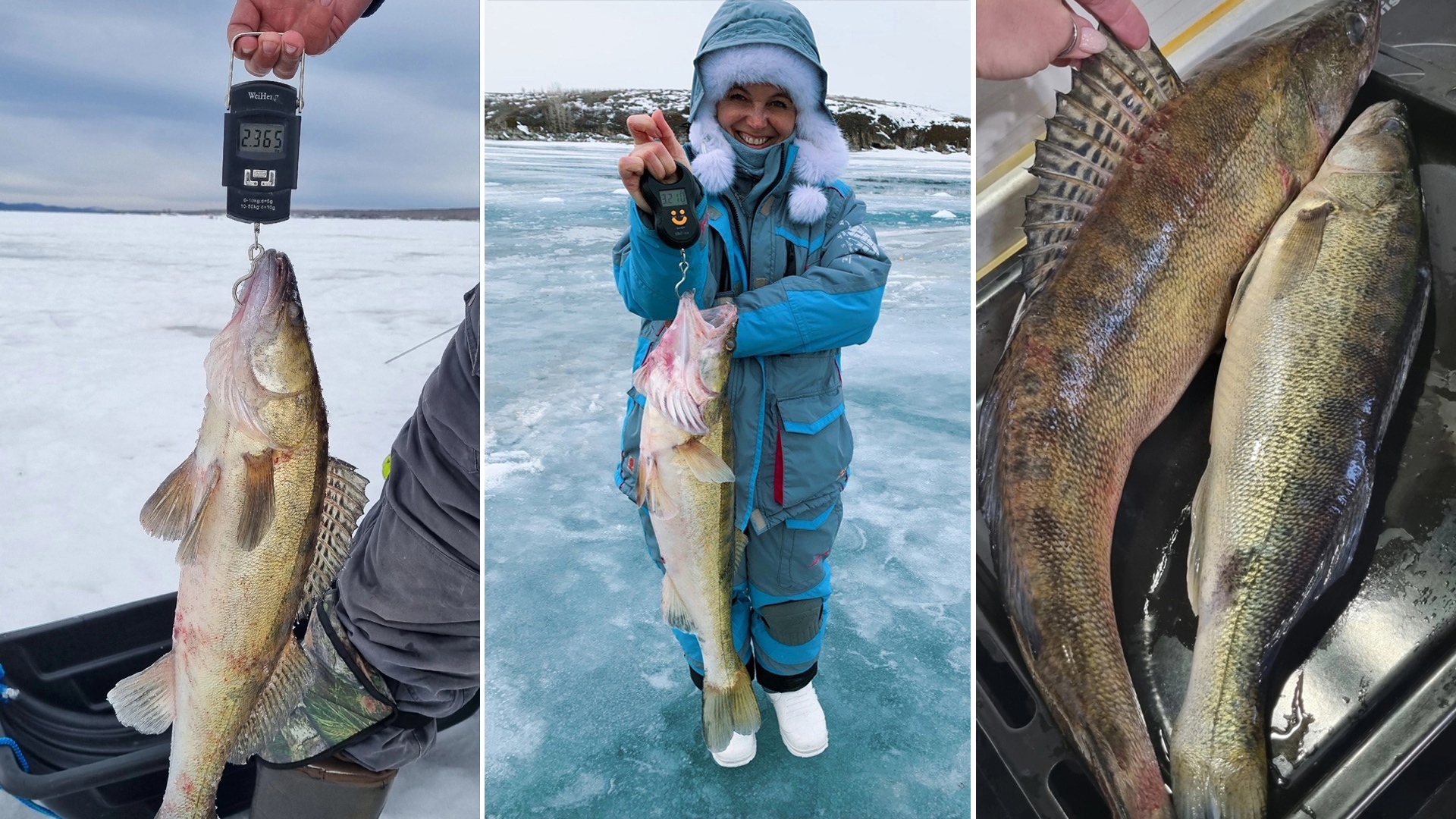 Опытная рыбачка из Челябинской области рассказала, чем ей запомнился минувший сезон