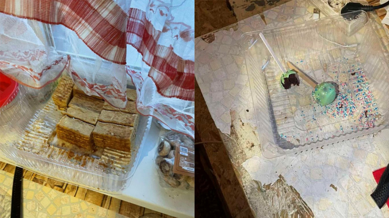В Челябинской области двое парней украли из кофейни пирожные и пиццу
