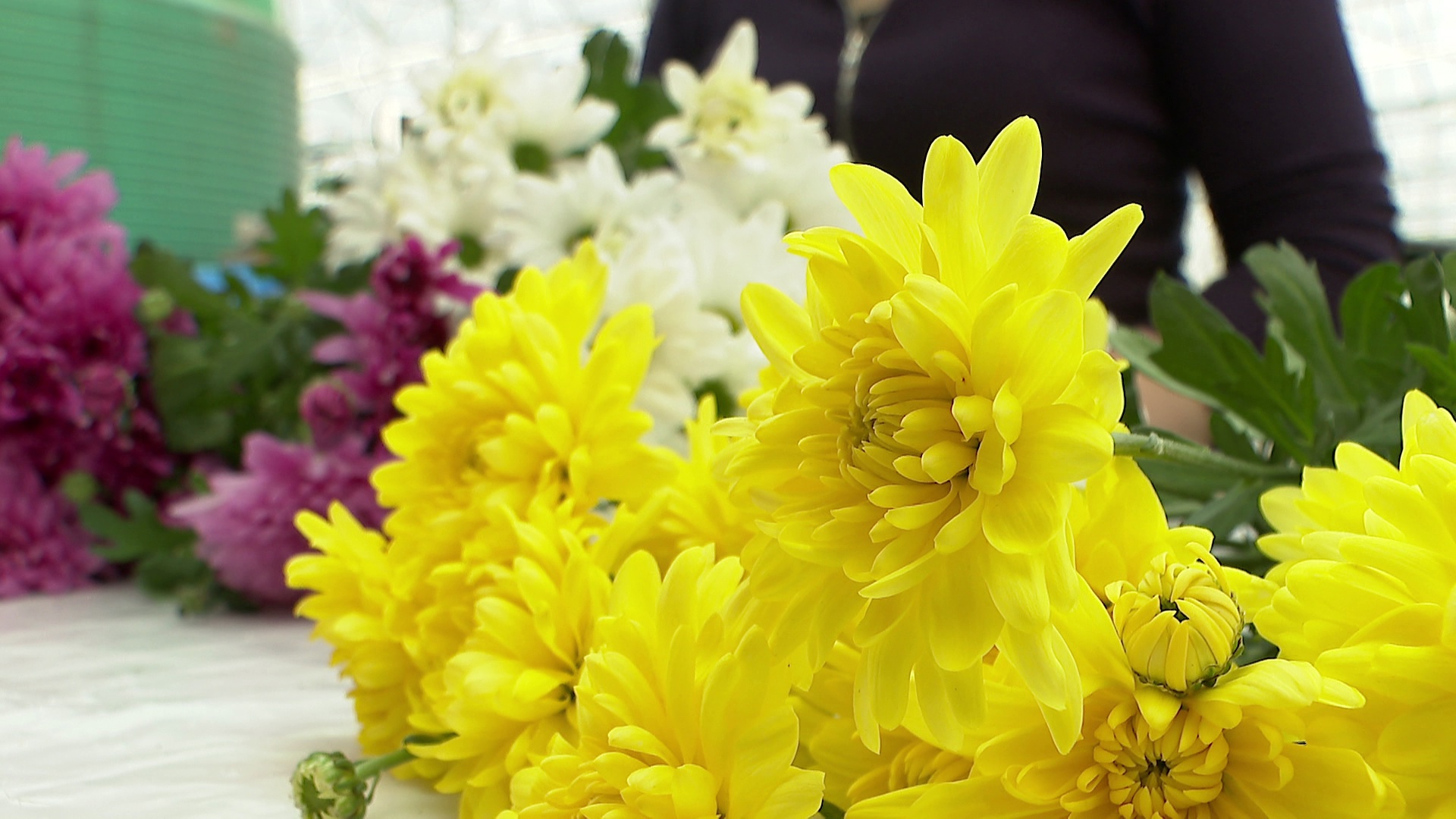 Цветочная ферма в Челябинской области проводит экскурсии для детей и взрослых