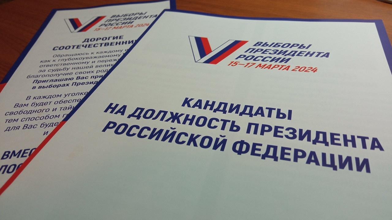 В Челябинской области назвали районы-лидеры на выборах президента