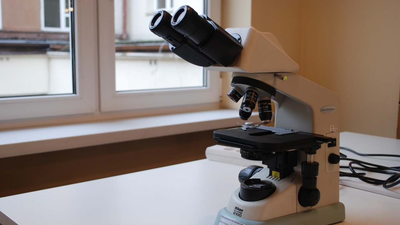 Самую интеллектуальную семью определили в Челябинске