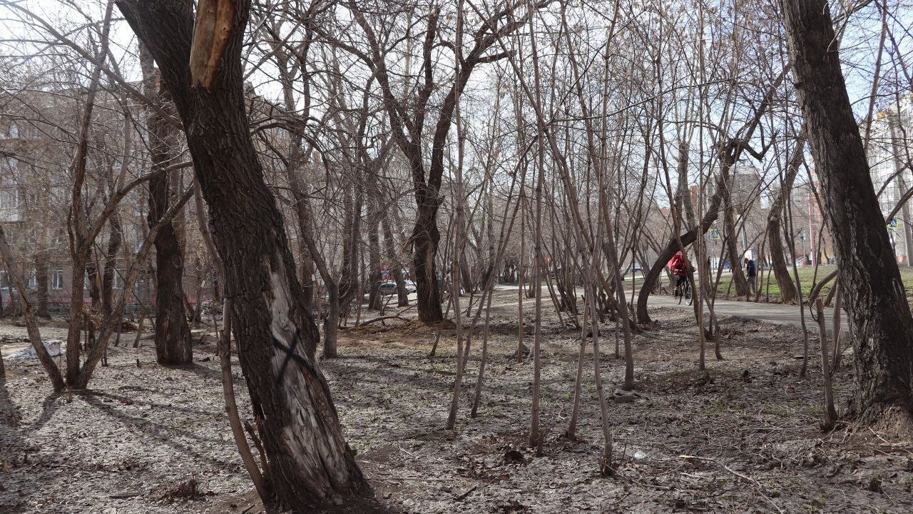 Современный сквер появится у рынка в Металлургическом районе Челябинска