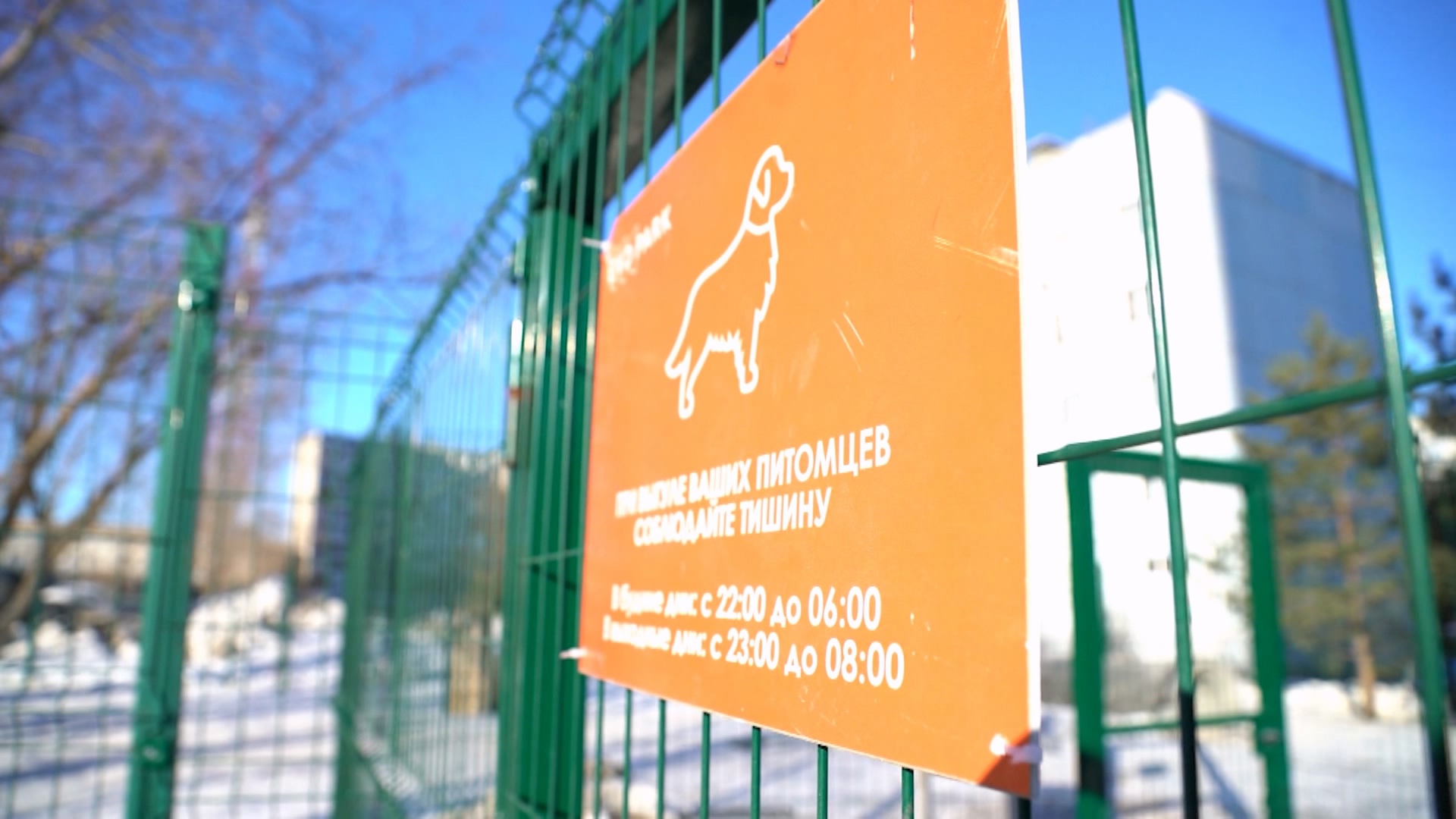 Домашние питомцы в городе: о правах и обязанностях их владельцев рассказали в Челябинске