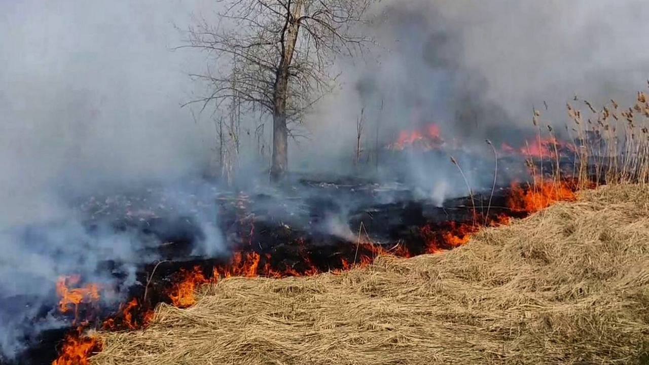 В лесах Челябинской области начинается пожароопасный сезон: что нужно знать