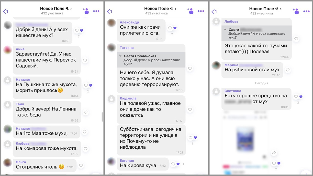 Нашествие мух: жителей Сосновского района "атаковали" полчища насекомых Нашествие мух: жителей Сосновского района "атаковали" полчища насекомых