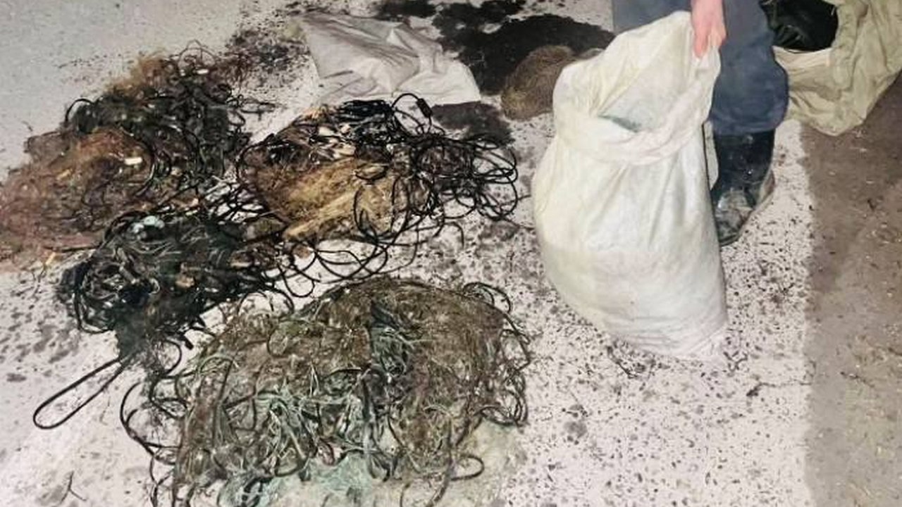 Ловили рыбу сетями: браконьеров задержали в Челябинской области