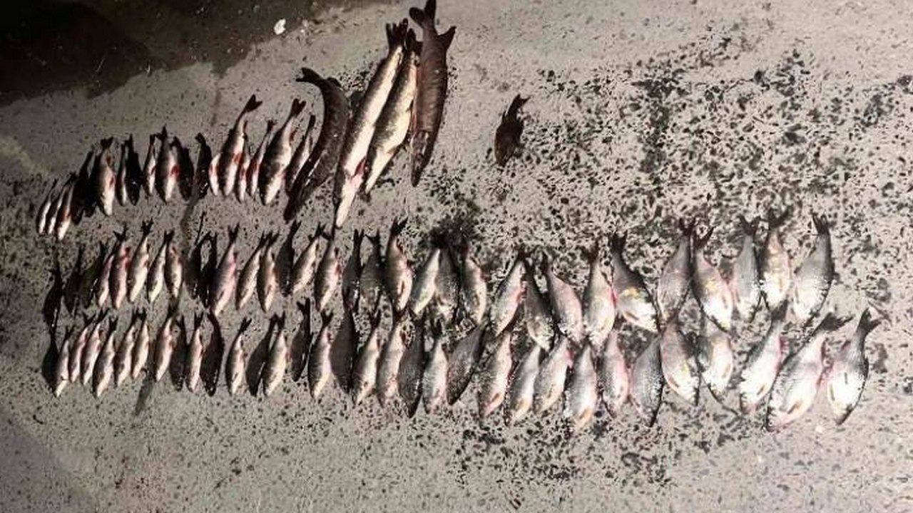 Ловили рыбу сетями: браконьеров задержали в Челябинской области
