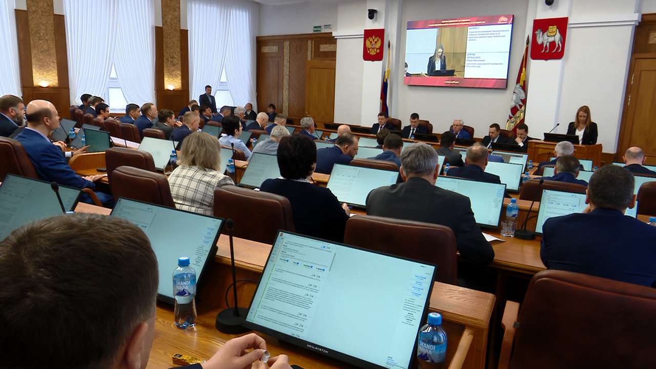 Новые меры поддержки семей участников СВО и медиков вводят в Челябинской области 