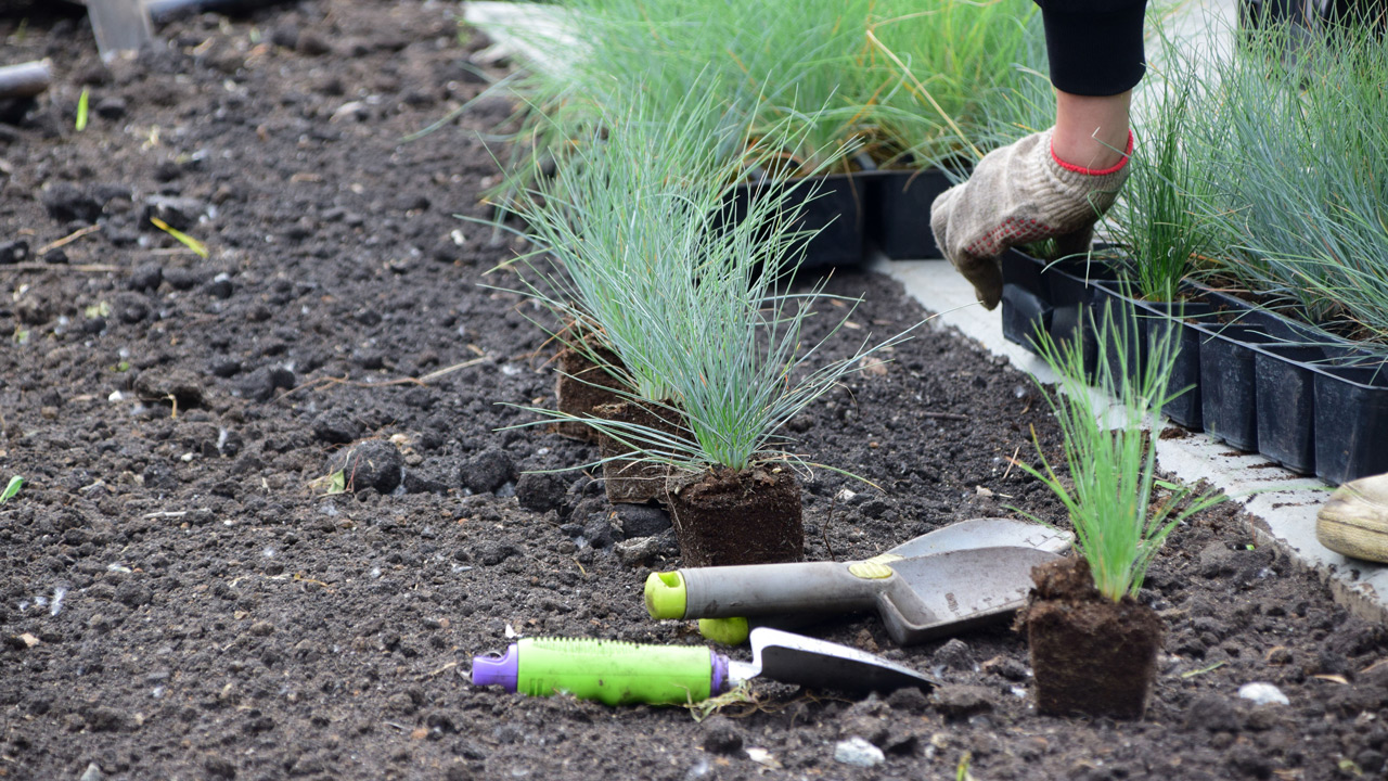 Сквер с фонтаном и обновление дворов: как проходит благоустройство в Курчатовском районе