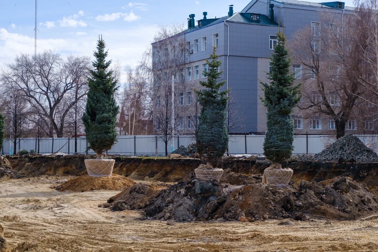 Убранные из-за строительства хирургического корпуса в Челябинске деревья пересадили Убранные из-за строительства хирургического корпуса в Челябинске деревья пересадили