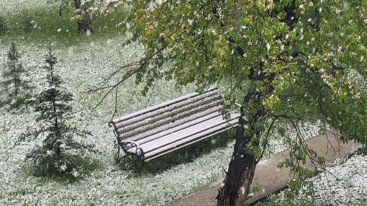 "Маябрь" в Челябинской области: как в регионе встретили снегопад и когда потеплеет