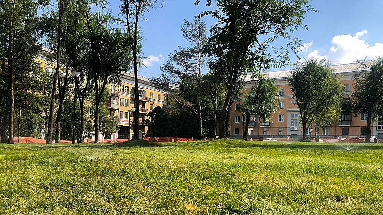 В Челябинске рассказали, когда будут высаживать цветы и обновлять саженцы деревьев В Челябинске рассказали, когда будут высаживать цветы и обновлять саженцы деревьев