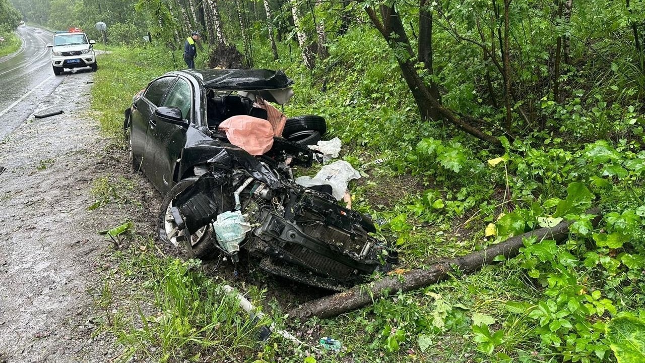 Иномарка вылетела в кювет в Челябинской области: водитель погиб