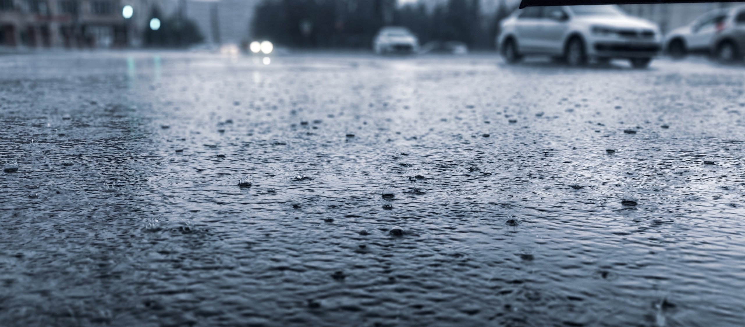 Циклон продолжит портить погоду и настроение жителям Челябинской области 