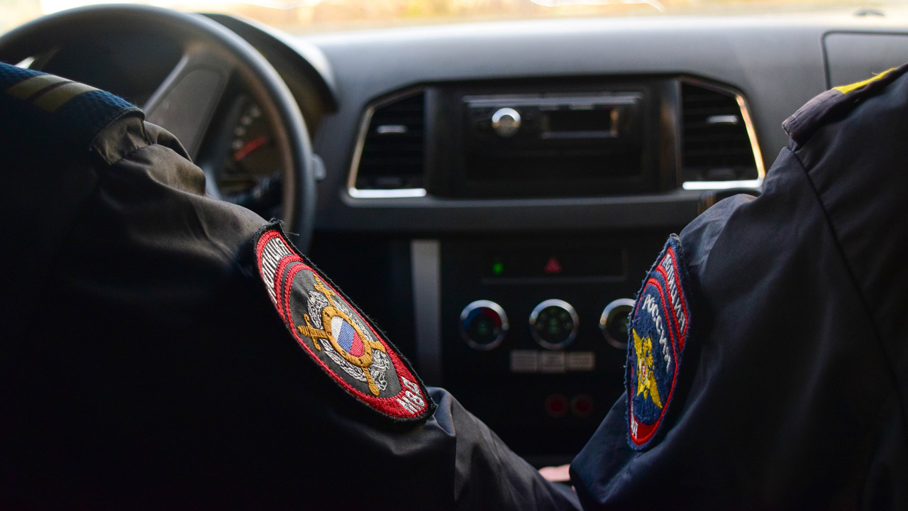 Сброшенные в яму человеческие останки обнаружили в лесу в Челябинской области Сброшенные в яму человеческие останки обнаружили в лесу в Челябинской области