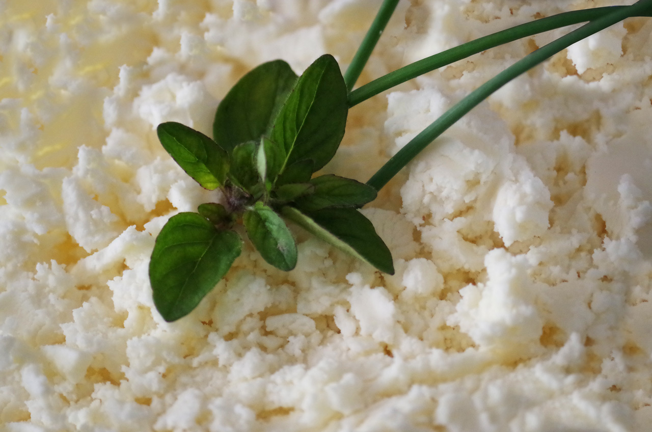 Россельхознадзор нашел нарушения при производстве творога в Челябинской области