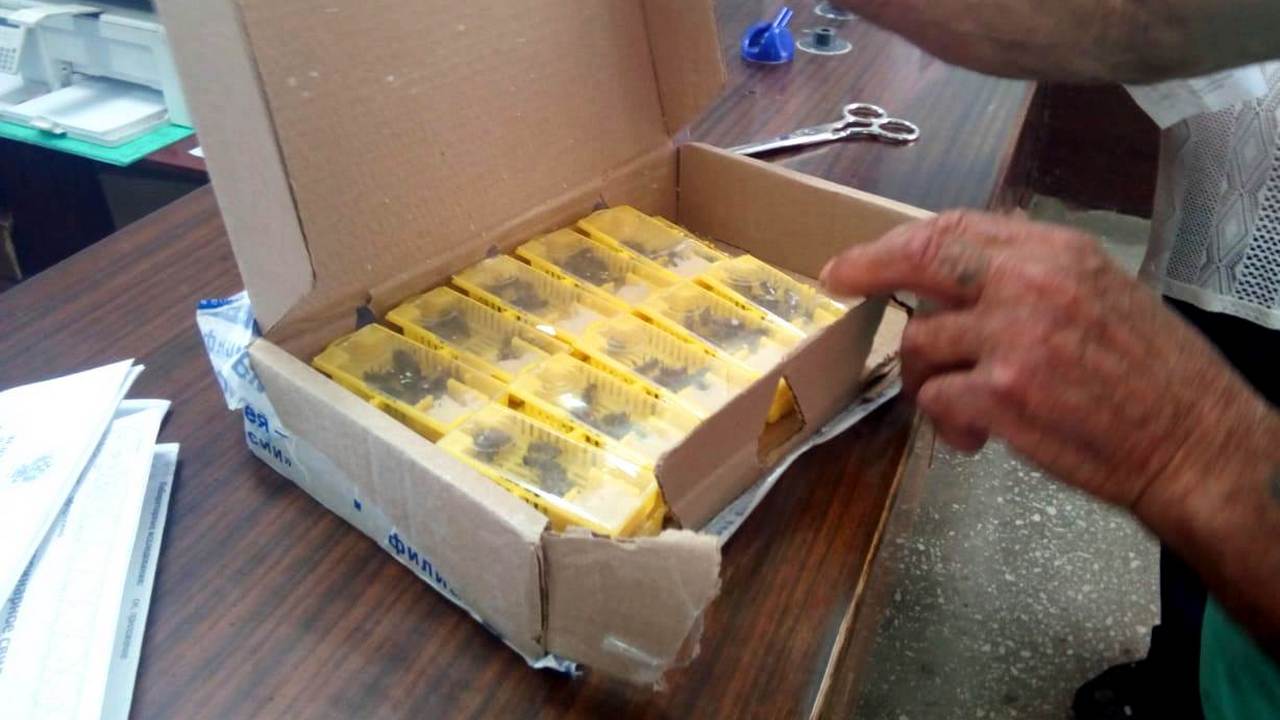 В Почте России назвали необычные летние посылки, которые отправляют из Челябинска В Почте России назвали необычные летние посылки, которые отправляют из Челябинска